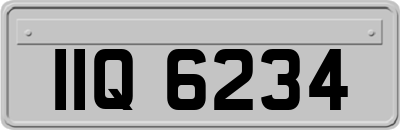 IIQ6234