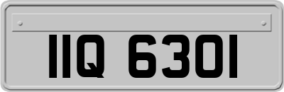 IIQ6301