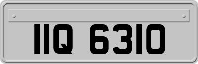 IIQ6310
