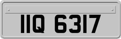IIQ6317