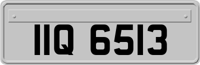 IIQ6513