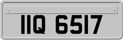 IIQ6517