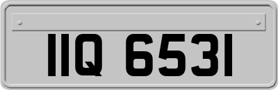 IIQ6531
