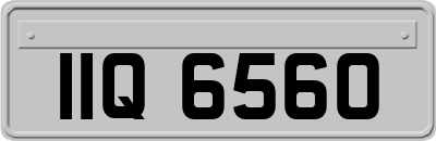 IIQ6560