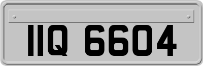 IIQ6604