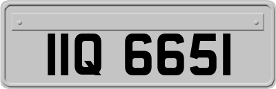IIQ6651
