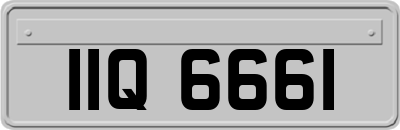 IIQ6661