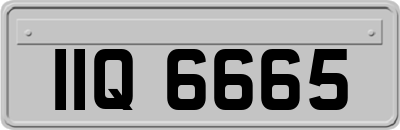 IIQ6665