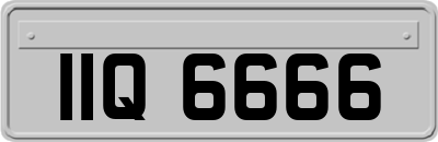 IIQ6666