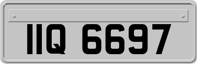IIQ6697