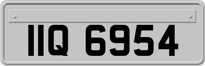 IIQ6954