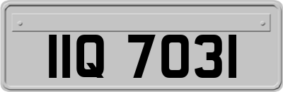 IIQ7031