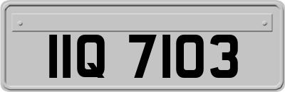 IIQ7103