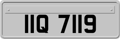 IIQ7119