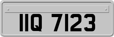 IIQ7123