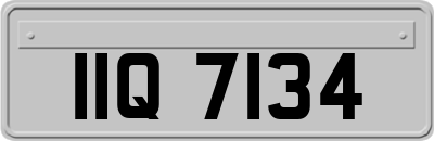 IIQ7134