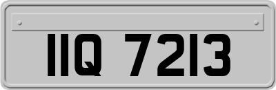 IIQ7213