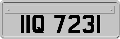 IIQ7231
