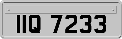 IIQ7233
