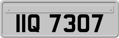 IIQ7307