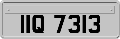IIQ7313