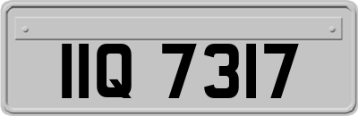 IIQ7317