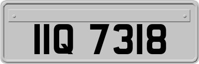 IIQ7318