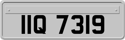 IIQ7319