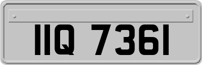 IIQ7361