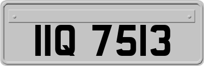 IIQ7513