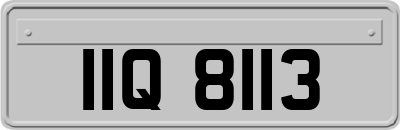 IIQ8113