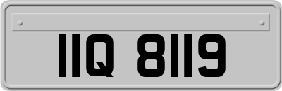 IIQ8119