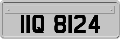 IIQ8124