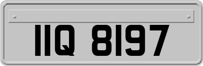 IIQ8197