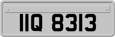 IIQ8313