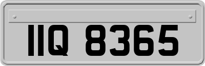 IIQ8365