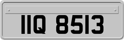 IIQ8513