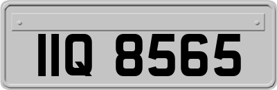 IIQ8565
