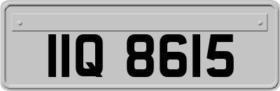 IIQ8615