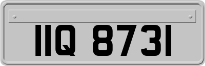 IIQ8731