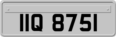 IIQ8751