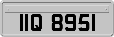 IIQ8951