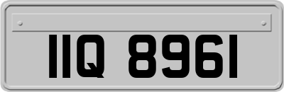 IIQ8961
