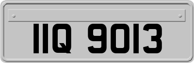 IIQ9013