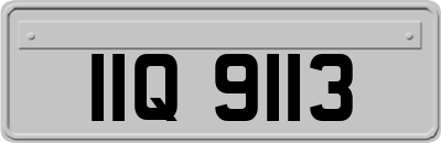 IIQ9113
