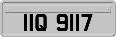 IIQ9117