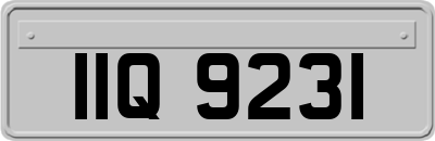 IIQ9231