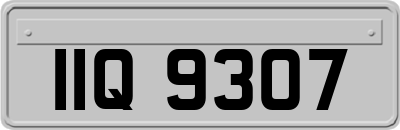 IIQ9307