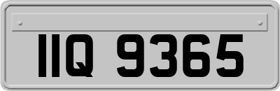 IIQ9365