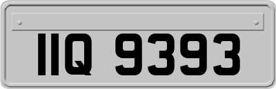 IIQ9393